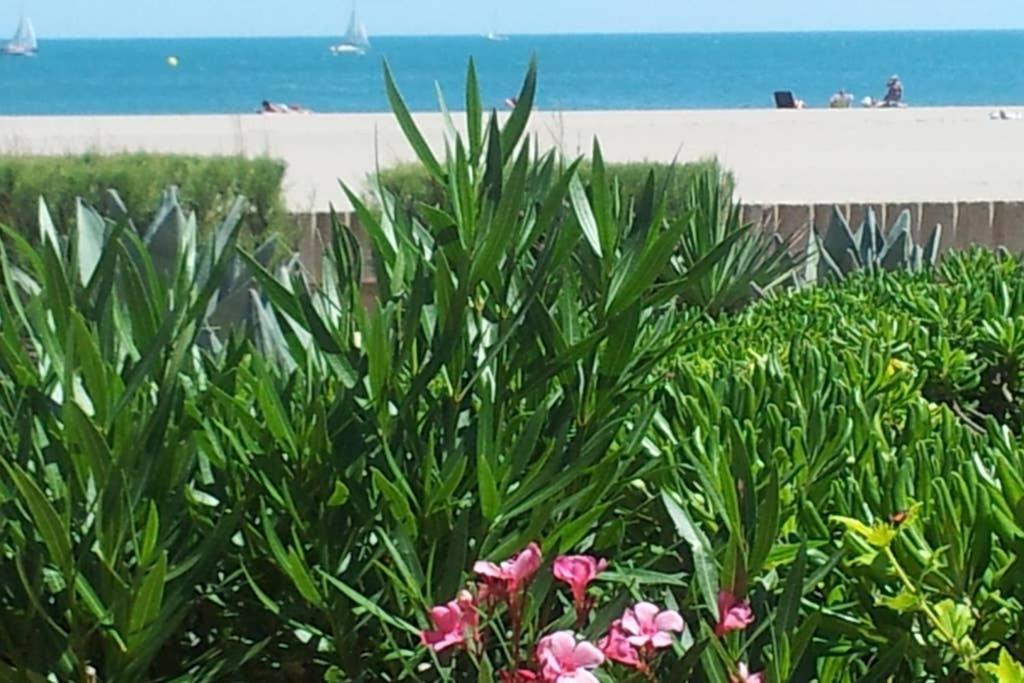 Cros Mer Et Piscine Saint-Pierre-la-Mer  Luaran gambar